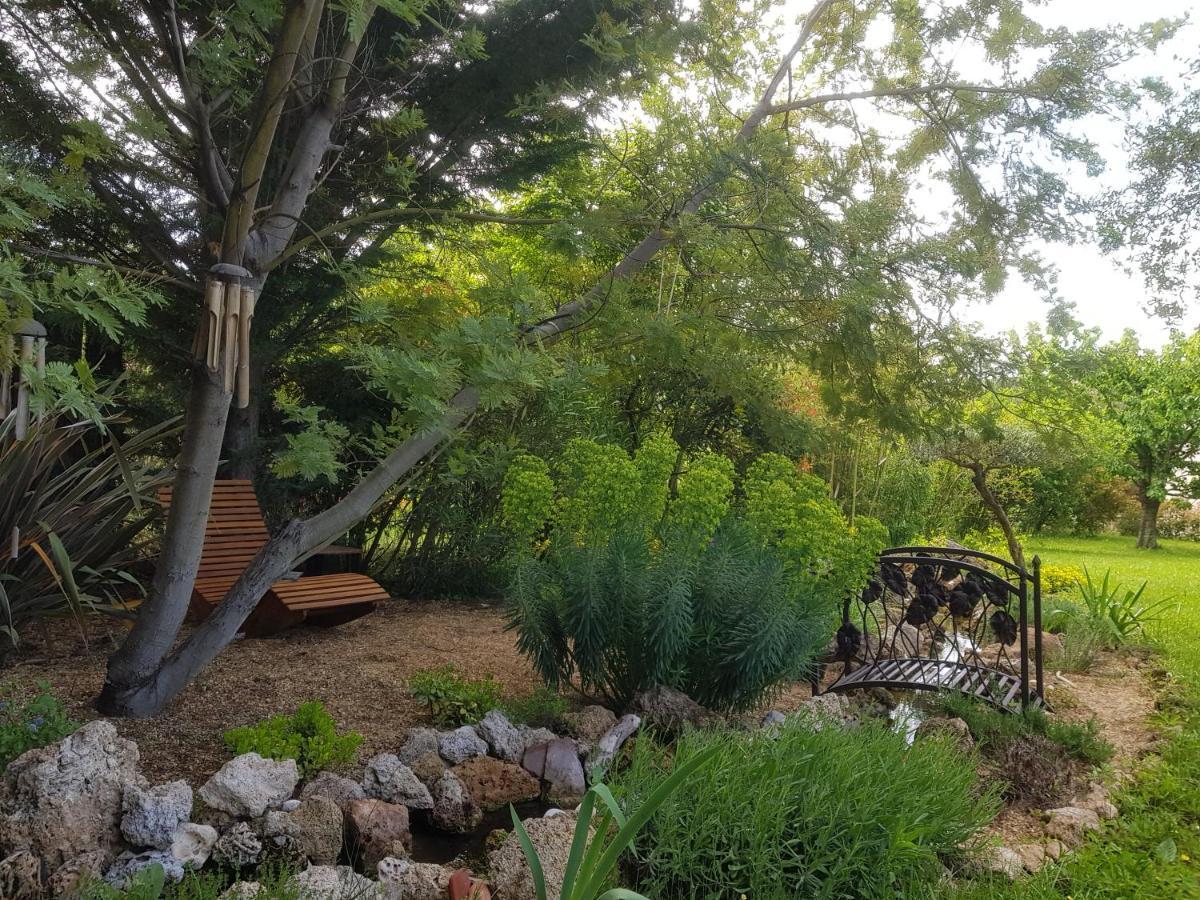Maison Mimosa ซาแลนส์ ภายนอก รูปภาพ