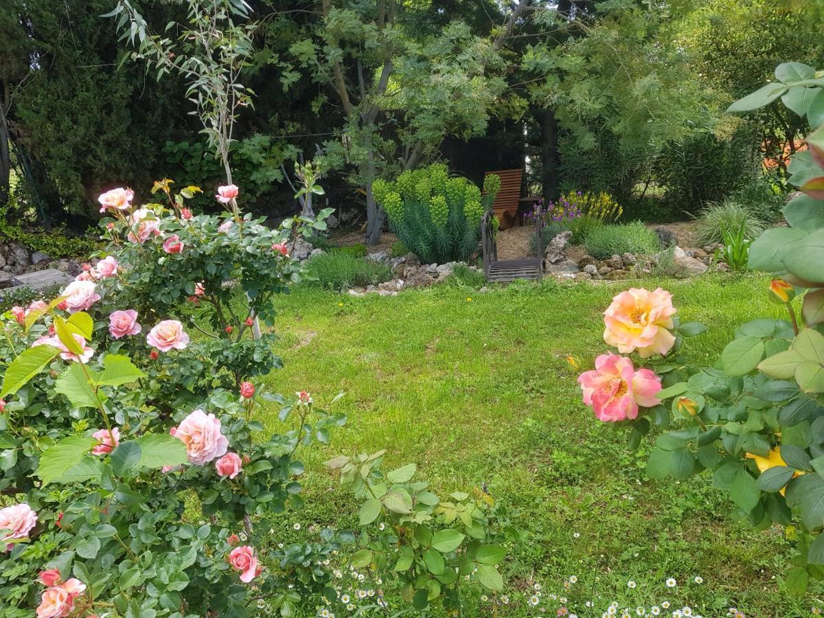 Maison Mimosa ซาแลนส์ ภายนอก รูปภาพ